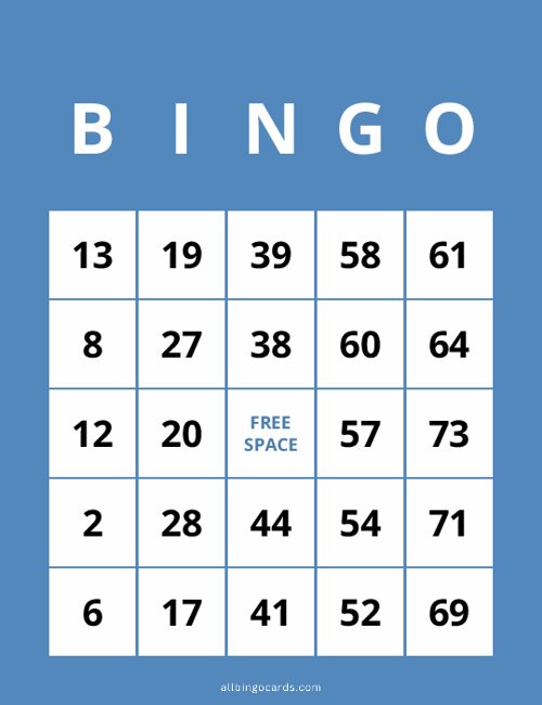 1-75 Number Bingo