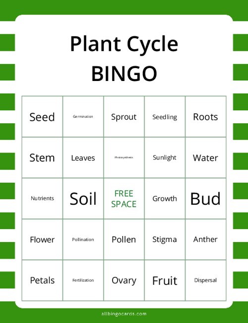 Plant Cycle Bingo