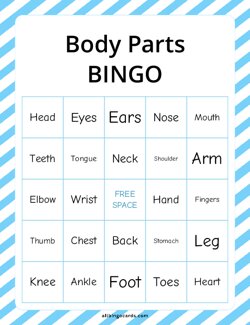 Body Parts Bingo