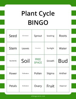 Plant Cycle Bingo