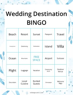 Wedding Destination Bingo