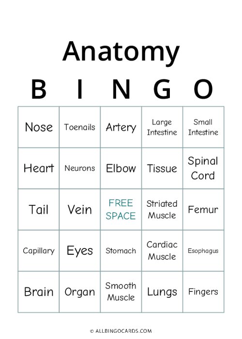 Anatomy Bingo