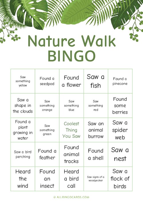 Nature Walk Bingo