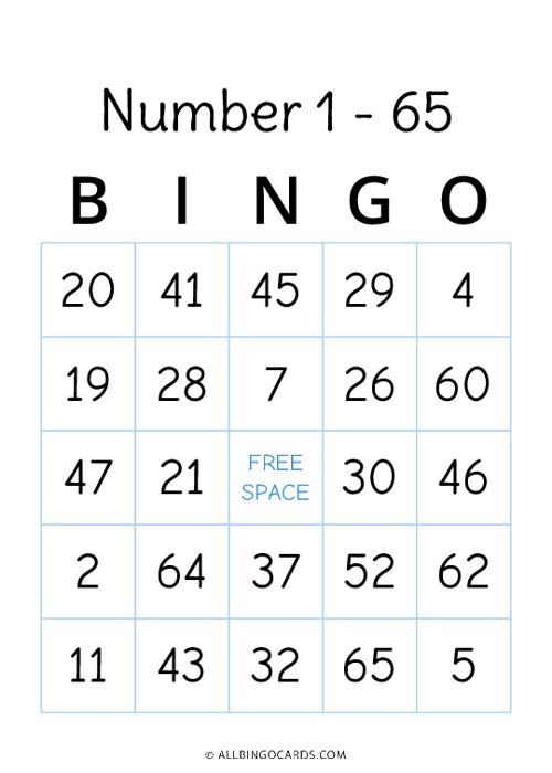 Number 1 - 65 Bingo
