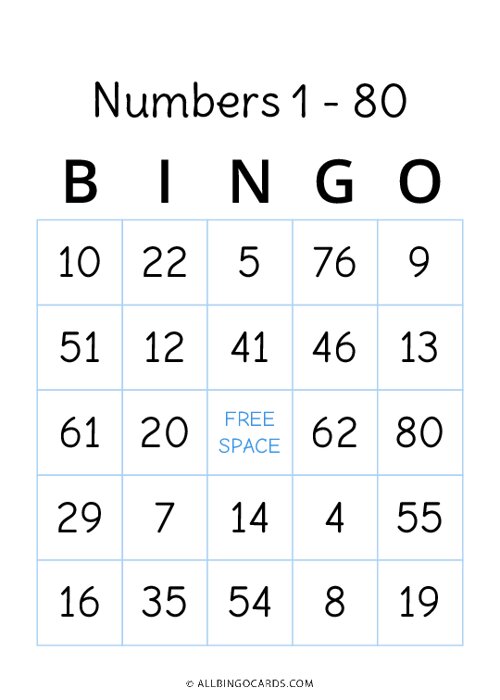 Numbers 1 - 80 Bingo