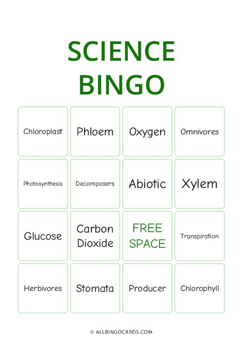 Science Bingo