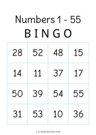 1 - 55 Number Bingo