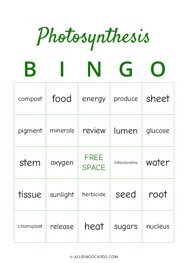 Photosynthesis Bingo