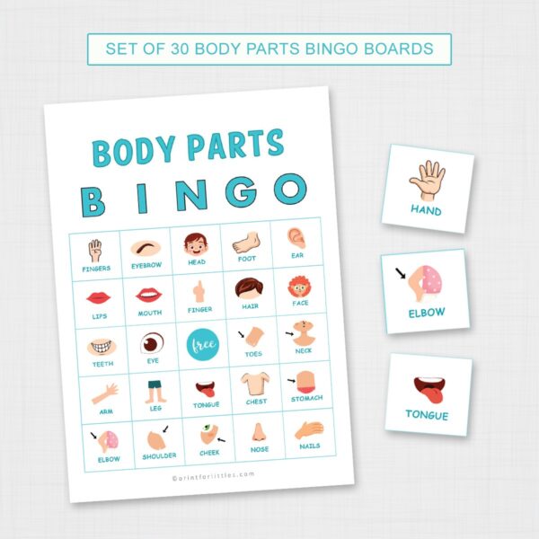 Set of 30 Body Parts Bingo Game