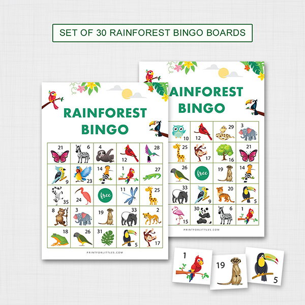 Printable Rainforest Bingo for Kids