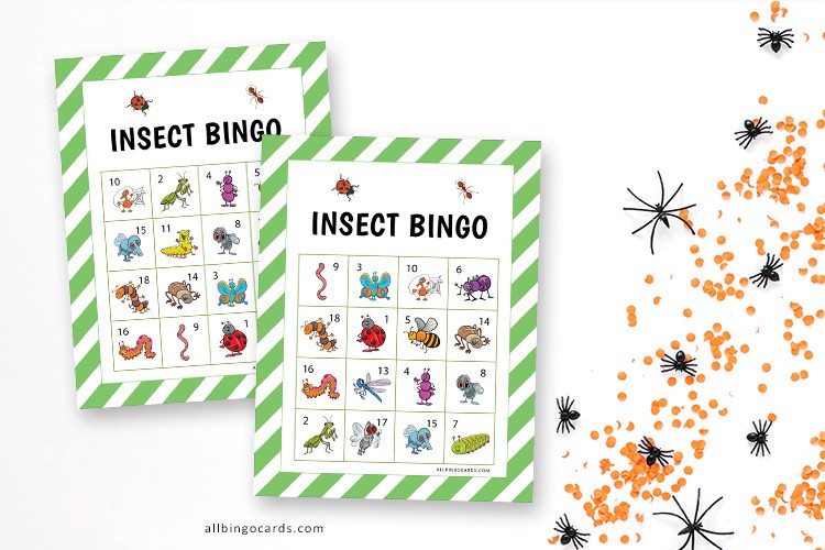 Insect Bingo